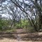 Foot Path at Lost Lake