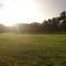 Sunset @ the park