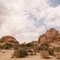 High Desert, Joshua Tree National Park