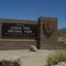 Joshuatree-1