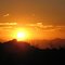 joshua tree national park, desert sunrise