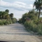 everglades
