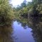 Big Cypress National reserve