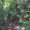 Big Cypress National Reserve