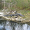 Florida 2004