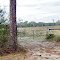 2012, Florida Rte 11, southbound