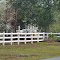 2012, Florida Rte 11