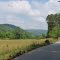 Along Black Mountain Road