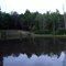 Ricky's Pond