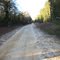 Looking North on County Rd 1151 (Lake Rd)