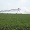 Irrigation
