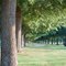 Treeline at Cherokee Nation Cultural Grounds