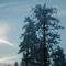Hoar Frost near Boca Reservoir, brrrr