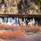 Water Flume in Winter