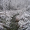 Frosty Redman Creek
