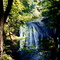 one of the falls on Silver Creek, near Silverton, Oregon