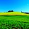 Green Land