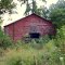 Buckhorn RD Series----st