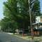 PENNINGTON AVE