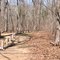 Unknown Confederate Graves