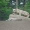 Penn State Campus