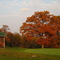 Summit Inn golf course, Fall