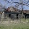 Abandoned house in forest