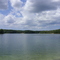 Arbutus Lake