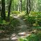 Vasa Single Track Loop