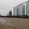 Thief River Elevators
