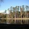 Thomasville, GA - Cherokee Lake - November 2010