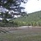 California / Lutherpass on the road 89 / Hochmoor
