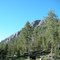 USFS Campground - July 2011