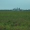 Far off silos on 80