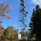 Molde Lookout Tower