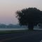 Early Morning Highway 110 Southbound