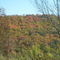 autumn from summit hill