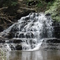 salt springs state park
