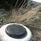 Survey Marker