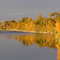 Autumn afternoon on the Snake River at Blackfoot, Idaho