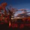 Late autumn sunset in November. East of Blackfoot, ID