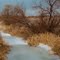 Frozen irrigation ditch near Blackfoot