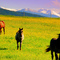 Happy Horses - A Ranch Oustide of Philipsburg
