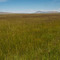 Cokeville Meadows National Wildlife Refuge