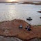 Halls Bay (Lake 3602'), May 2006
