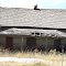 abandoned house