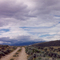 Off The Beaten Path