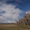 Near Panguitch