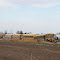 a lot of buses