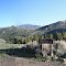 Junction, Alder Creek Road, Mackay, Idaho, USA